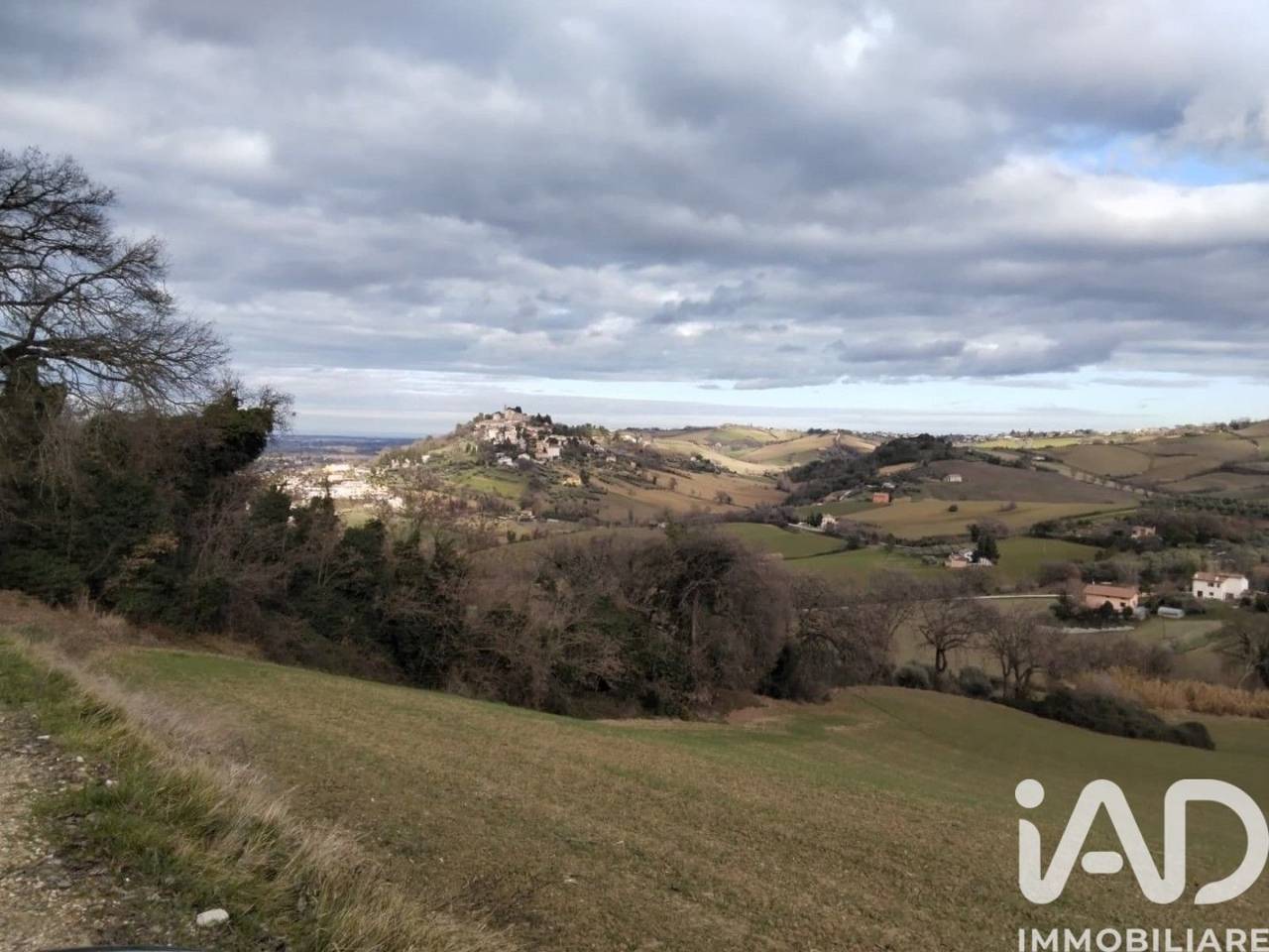 immagine annuncio 12 di 13