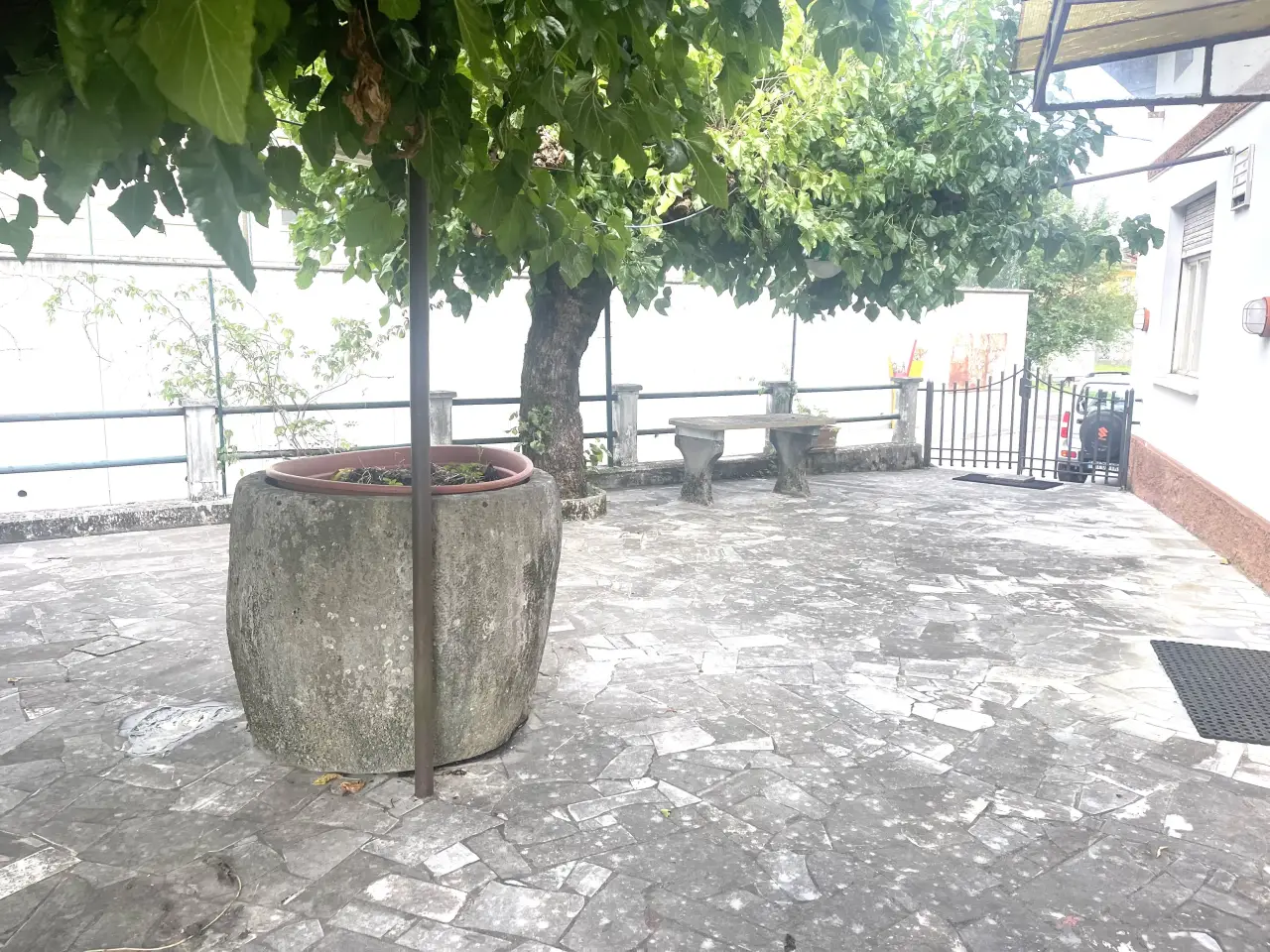 Esercizio commerciale in , Savogna D'Isonzo, {3} - Foto 2