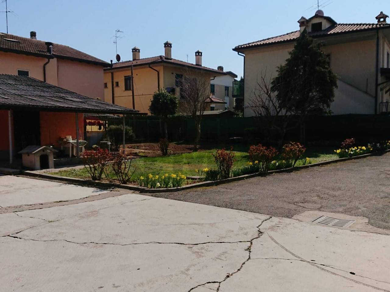 immagine annuncio 4 di 10