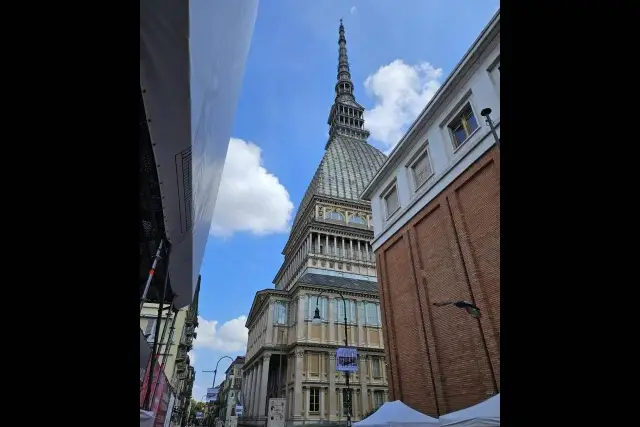 Einzimmerwohnung in Via Gaudenzio Ferrari 11, Torino - Foto 1