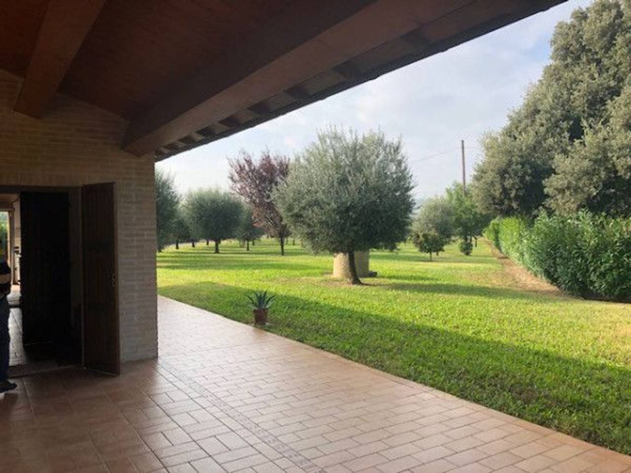 immagine annuncio 3 di 7