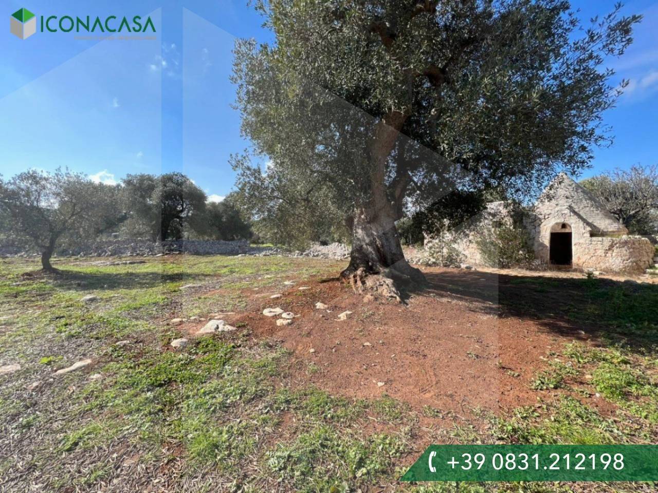 immagine annuncio 3 di 9