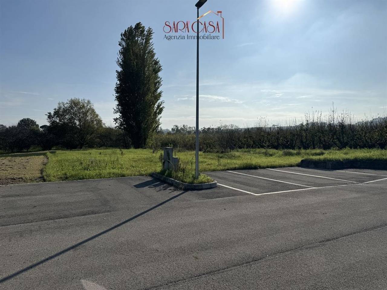 immagine annuncio 1 di 6