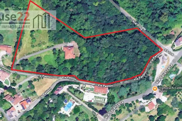 insertion image