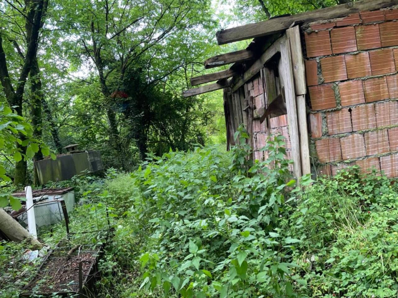 immagine annuncio 3 di 8