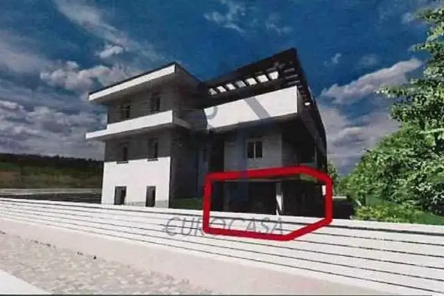 insertion image