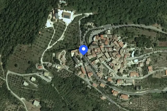 insertion image