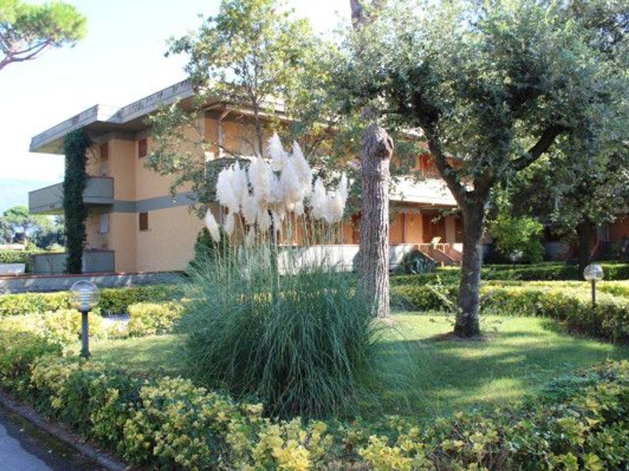 immagine annuncio 2 di 13