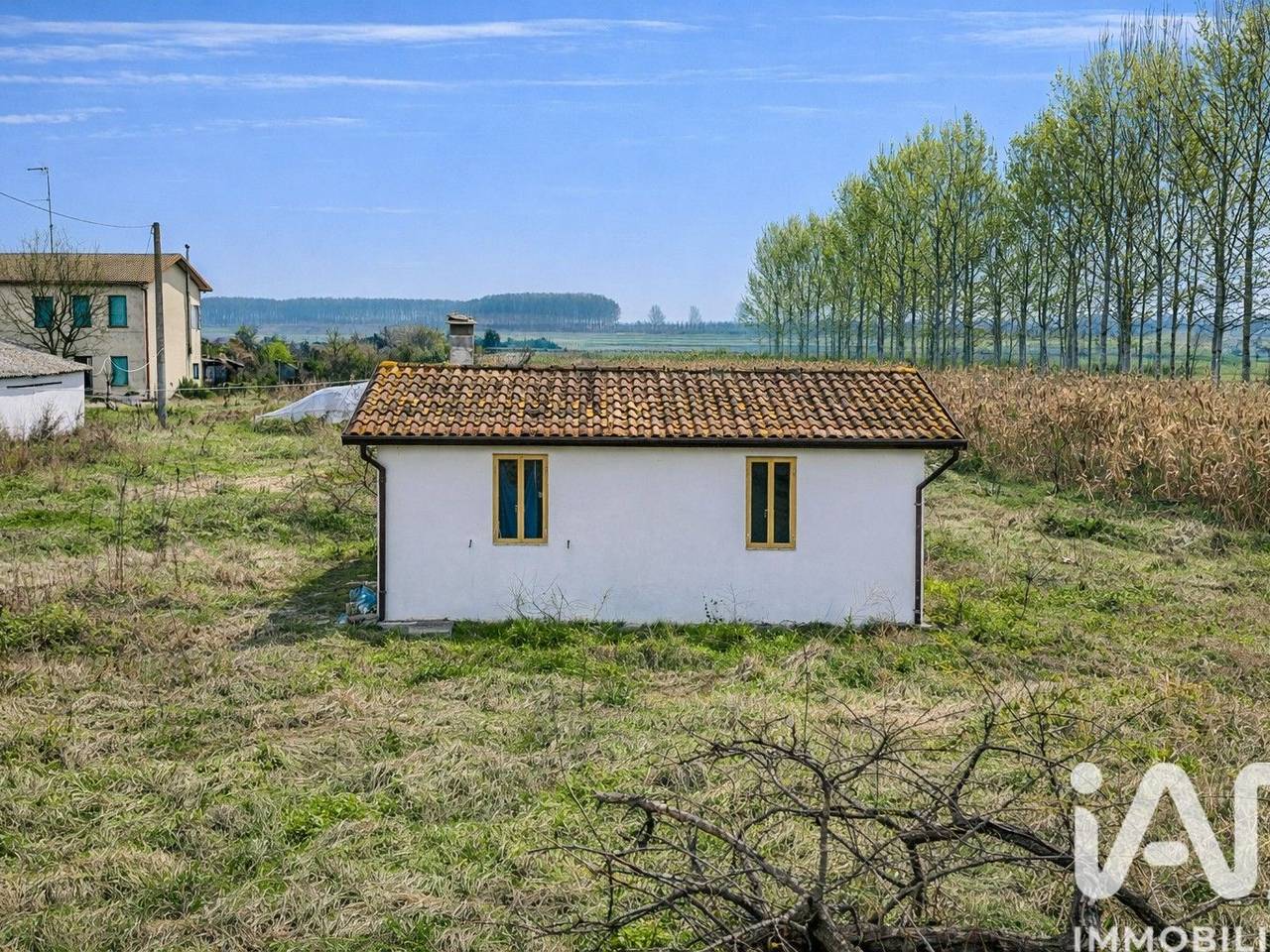 immagine annuncio 11 di 15