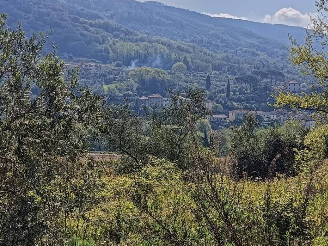 immagine annuncio 8 di 11