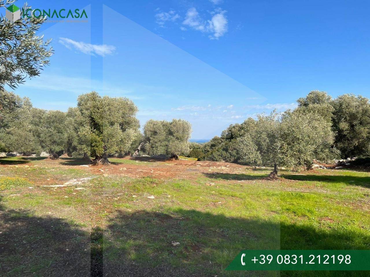 immagine annuncio 2 di 9