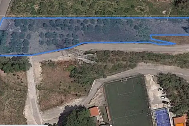 insertion image