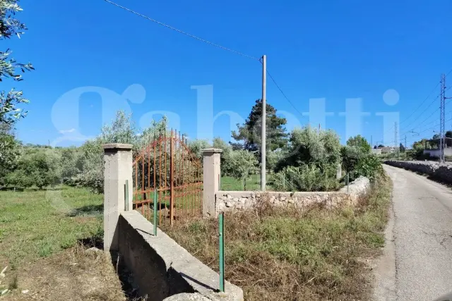 insertion image