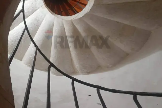 insertion image