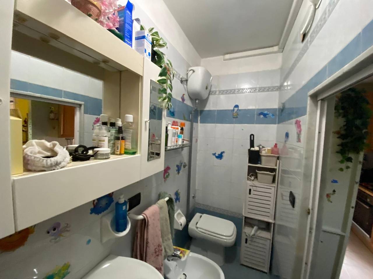 immagine annuncio 11 di 13