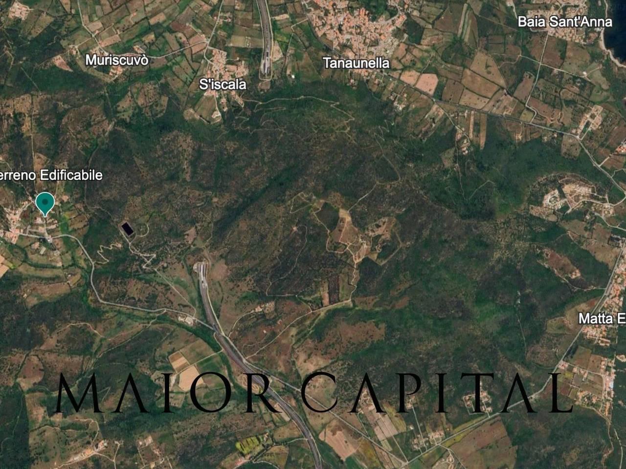 immagine annuncio 5 di 6