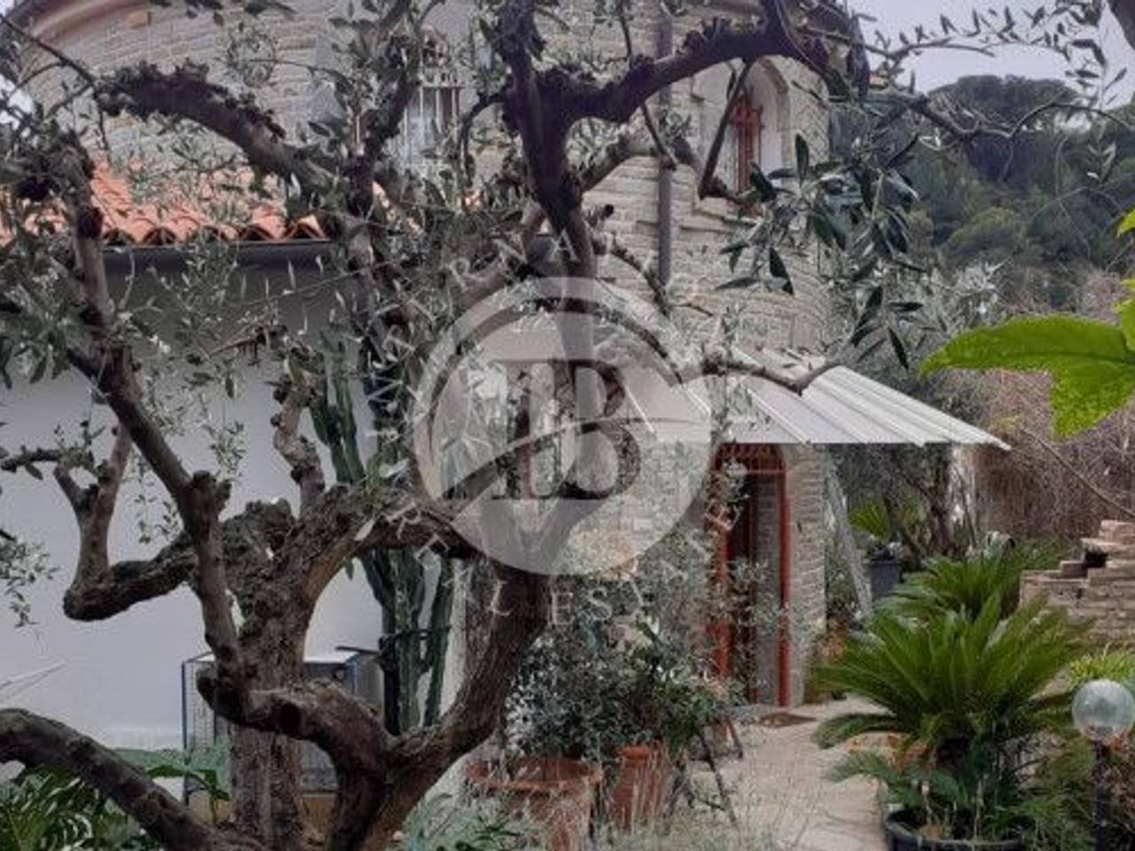 immagine annuncio 1 di 8