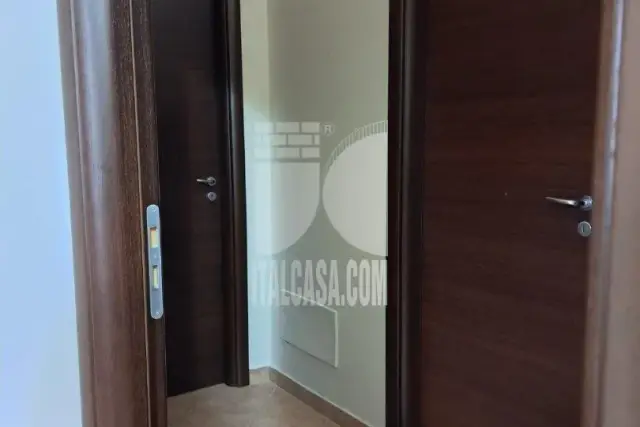 insertion image