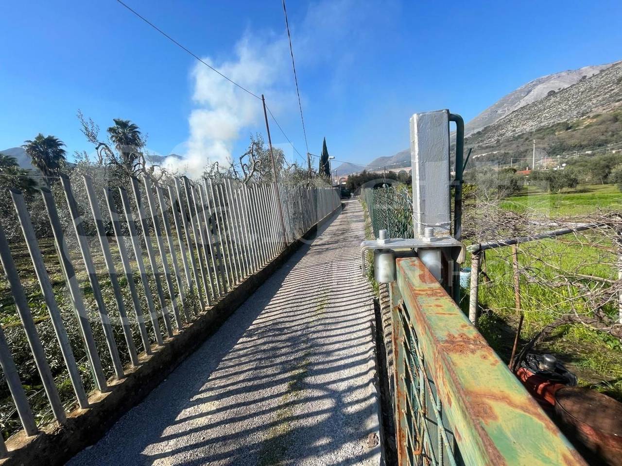 immagine annuncio 12 di 13