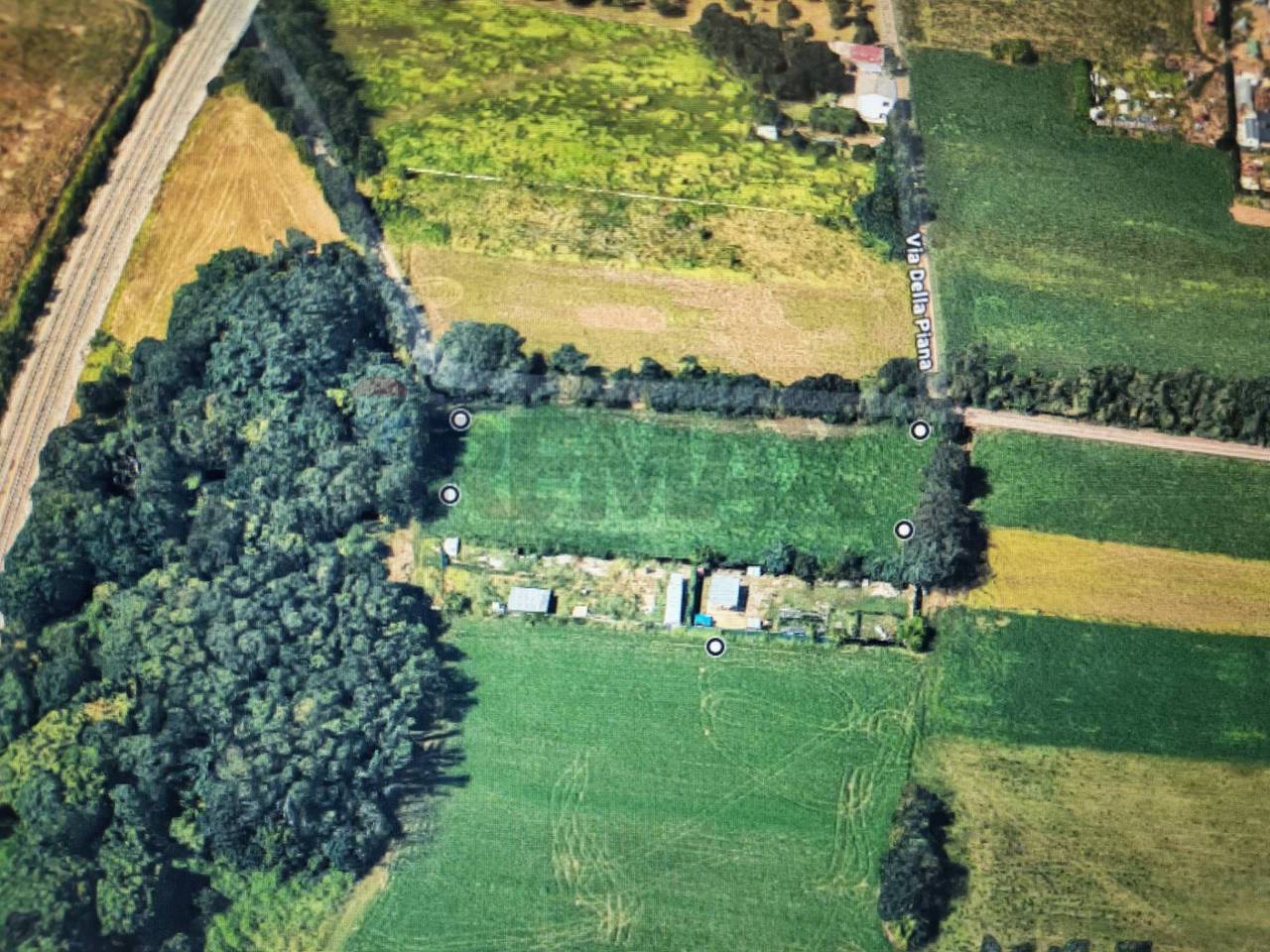 immagine annuncio 7 di 11