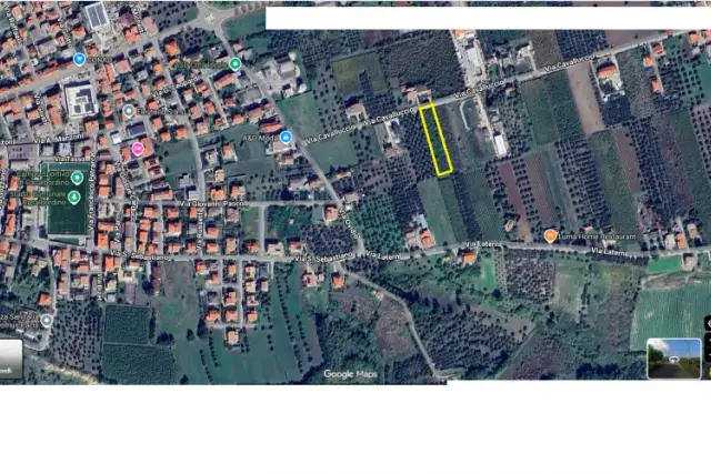 insertion image