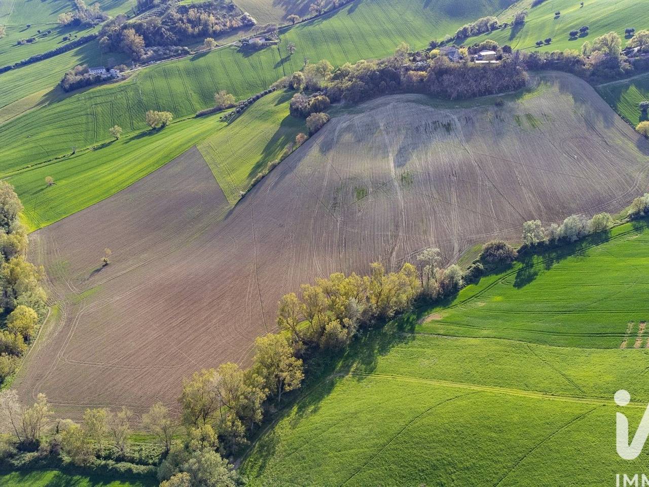 immagine annuncio 11 di 14