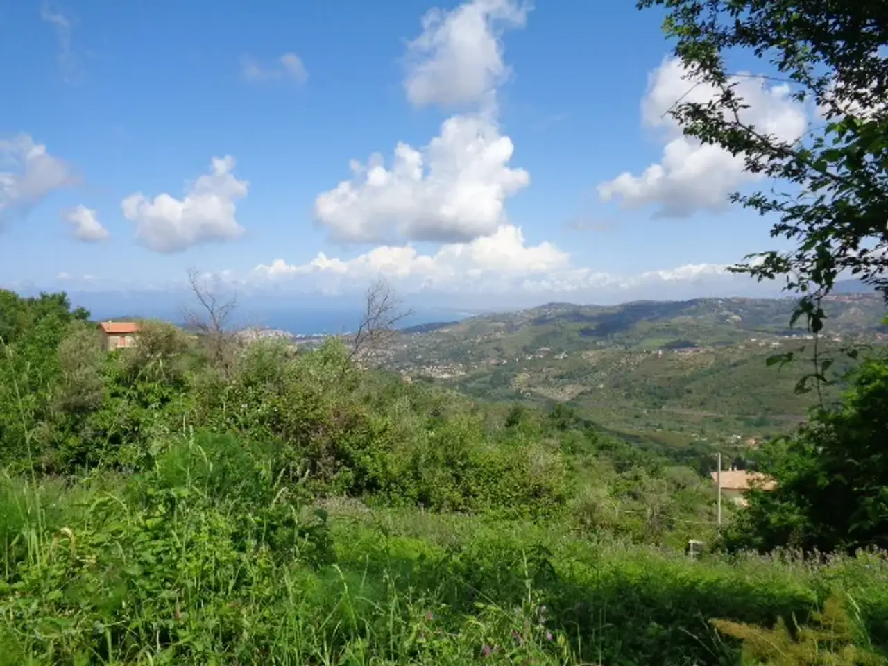 Fabbricato misto in Laureana Cilento, Salerno, Campania, Italia, Laureana Cilento, {3} - Foto 2