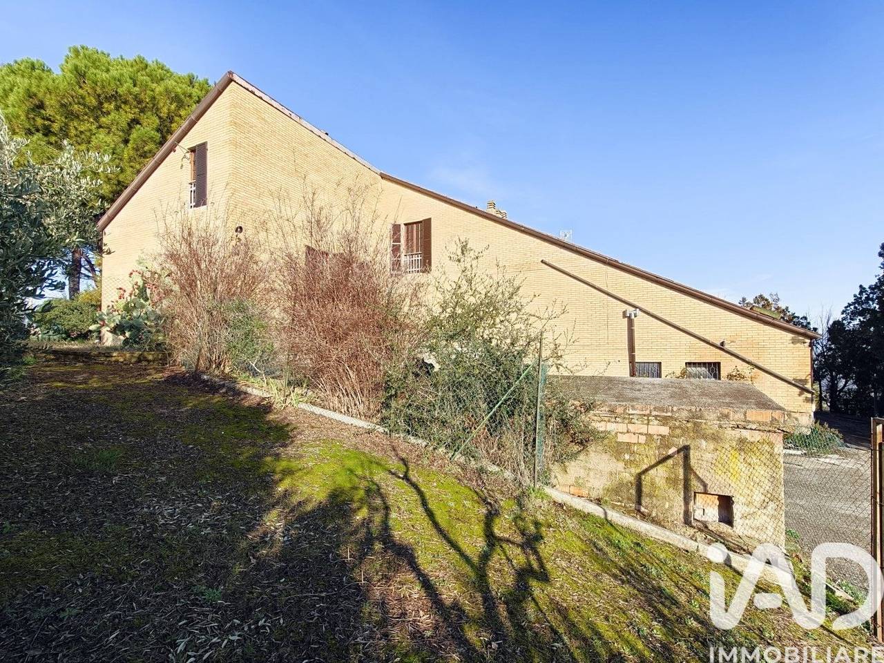 immagine annuncio 12 di 15