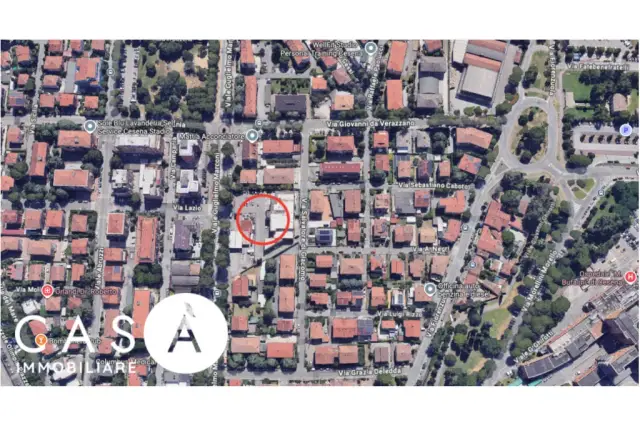 insertion image