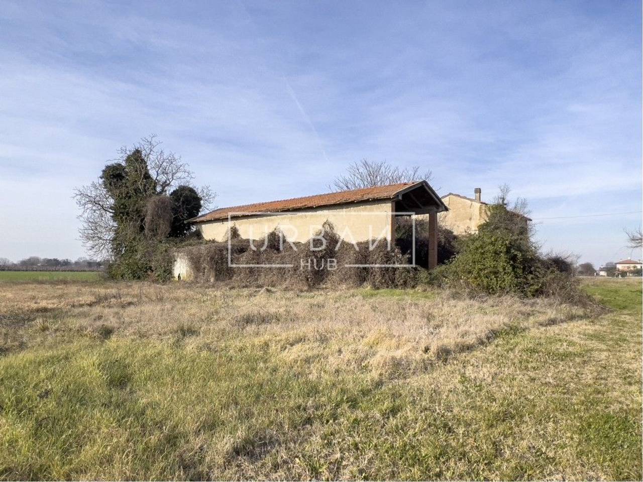 immagine annuncio 3 di 6