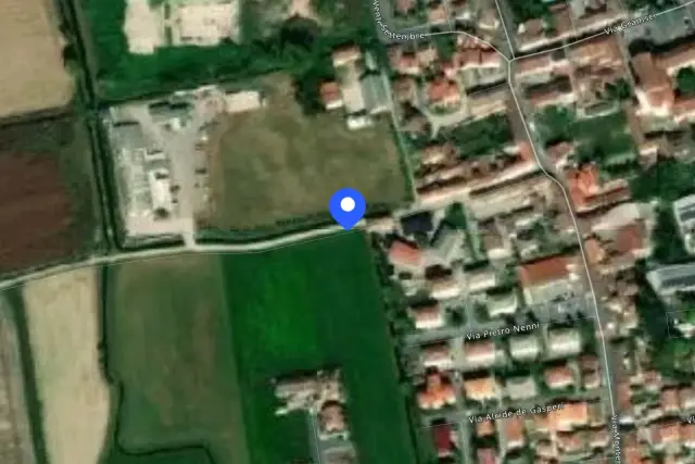 insertion image
