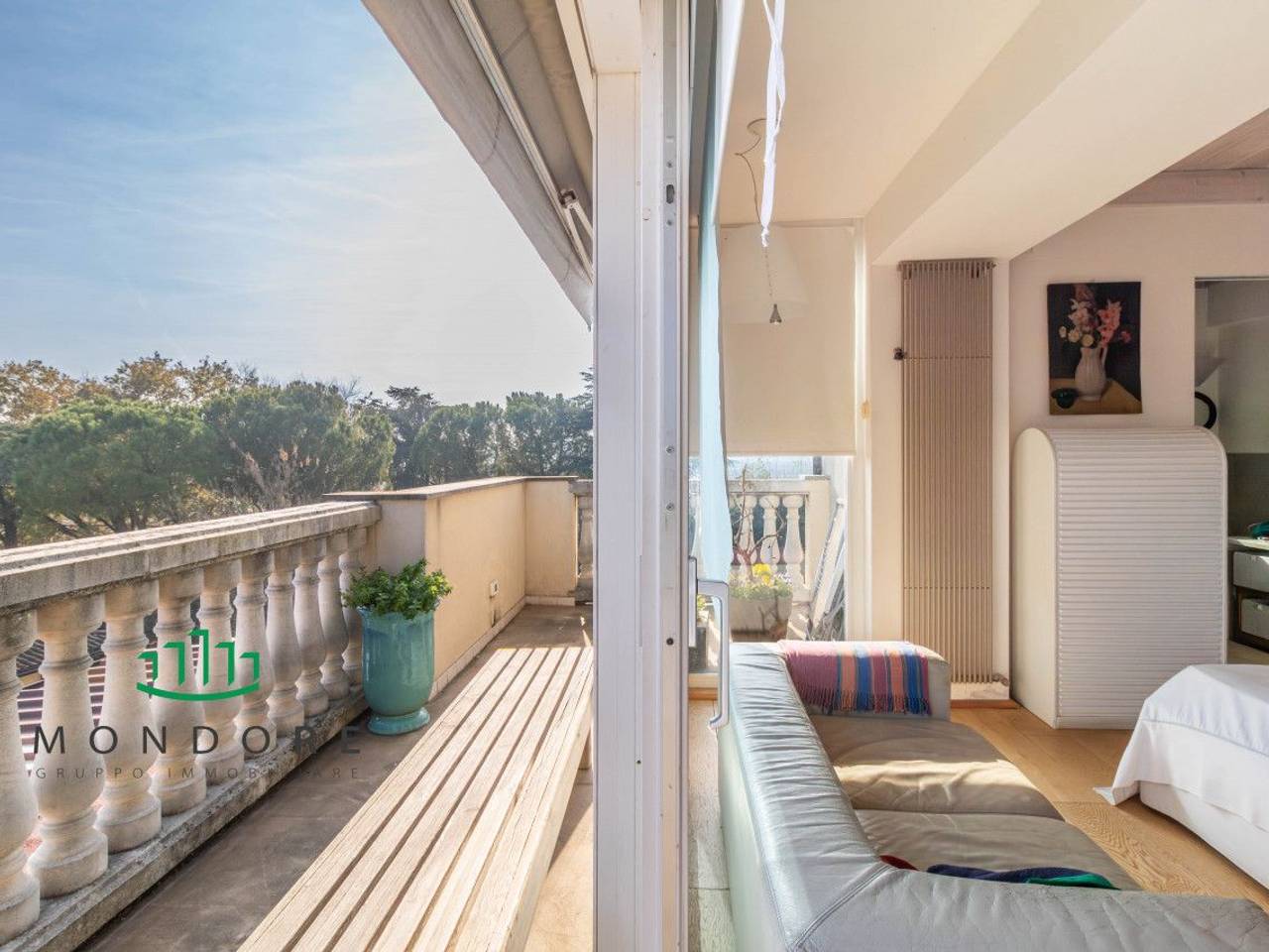 immagine annuncio 8 di 14