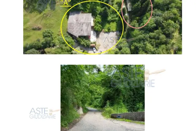 insertion image