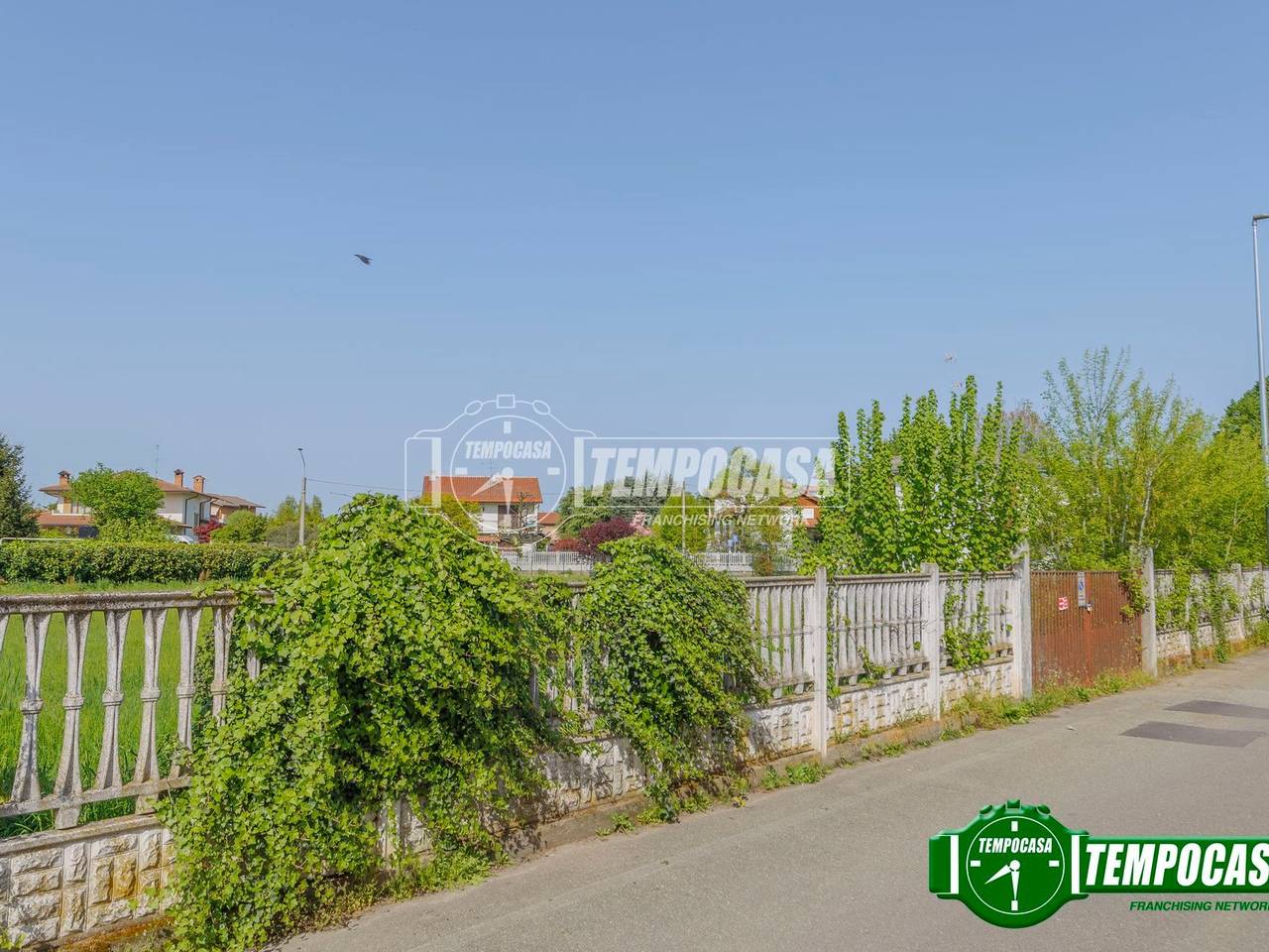 immagine annuncio 7 di 12