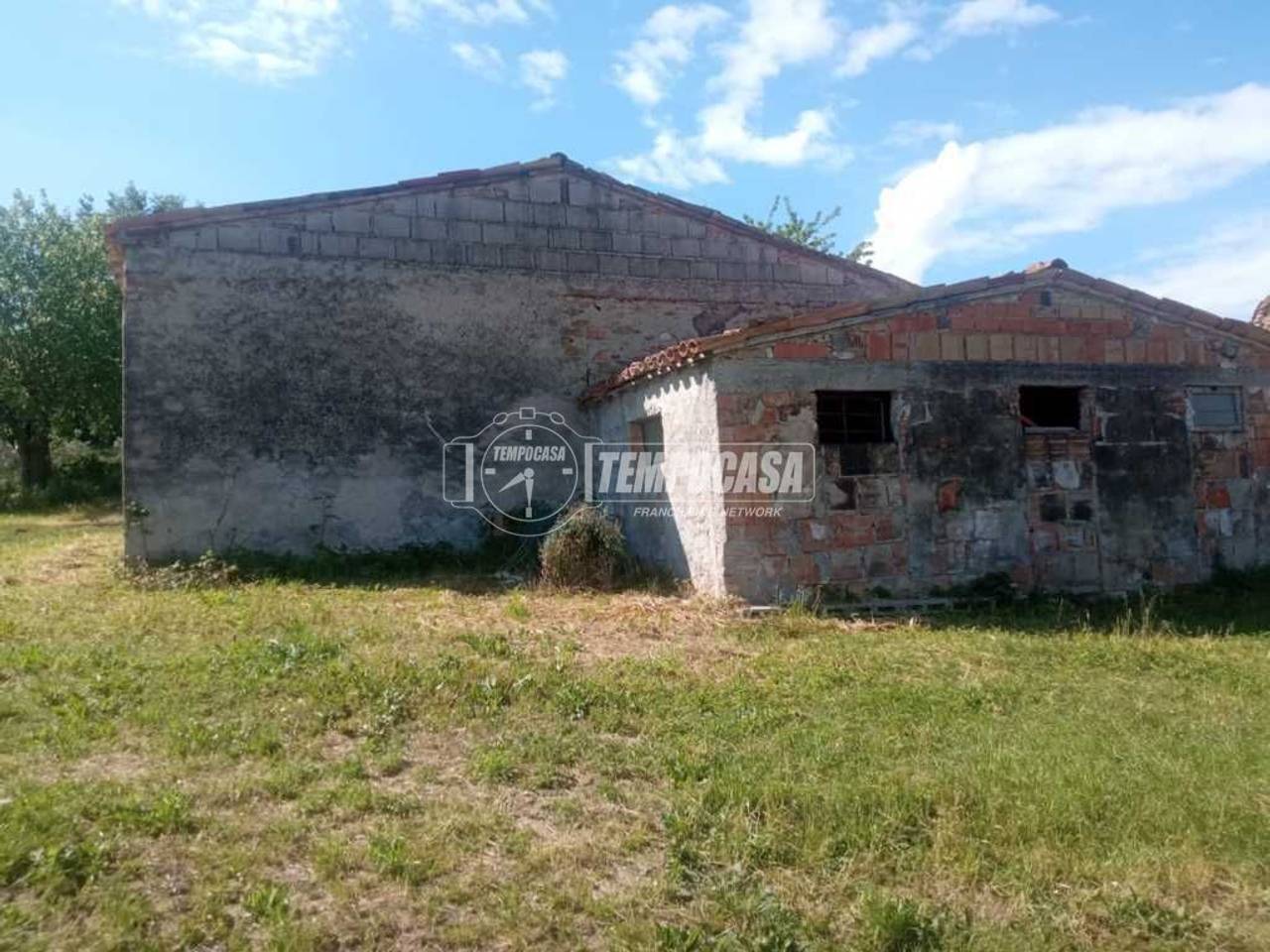 immagine annuncio 9 di 13