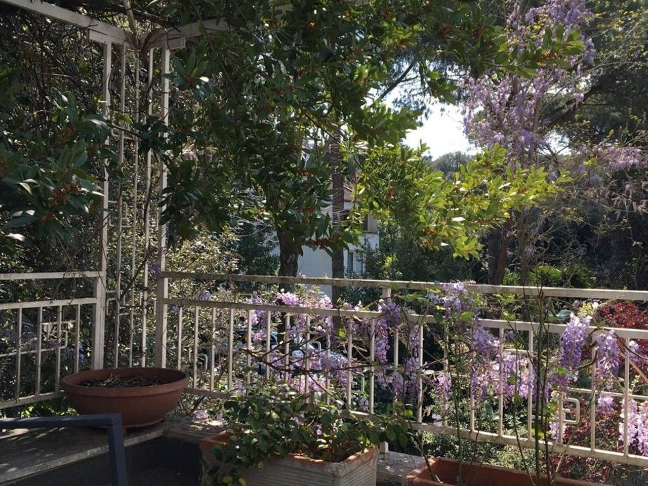 immagine annuncio 7 di 11