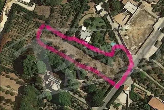 insertion image