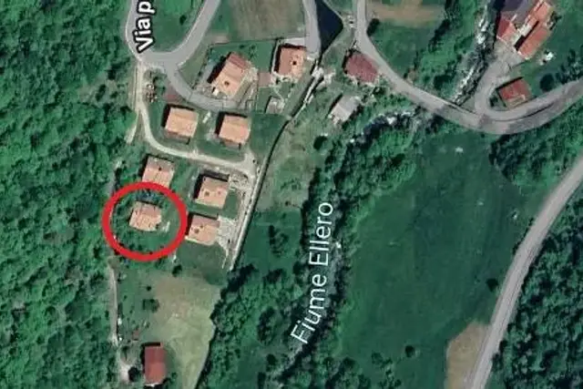 insertion image