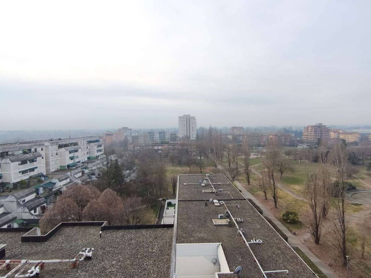 immagine annuncio 5 di 11