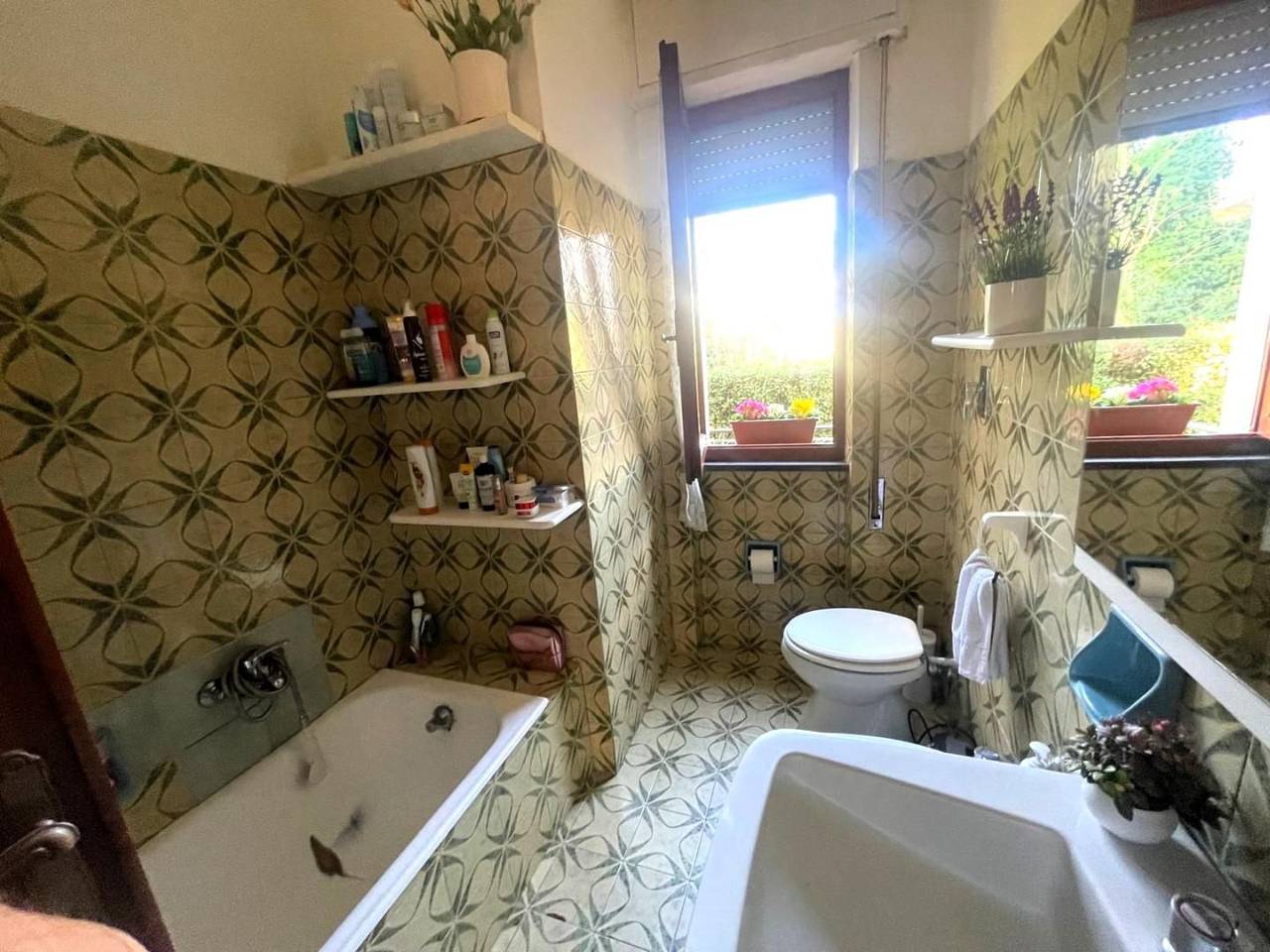 immagine annuncio 6 di 9