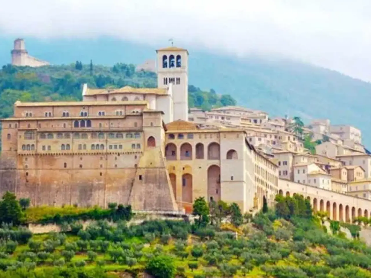 Negozio in Via San Gabriele dell'Addolorata, Assisi, {3} - Foto 2
