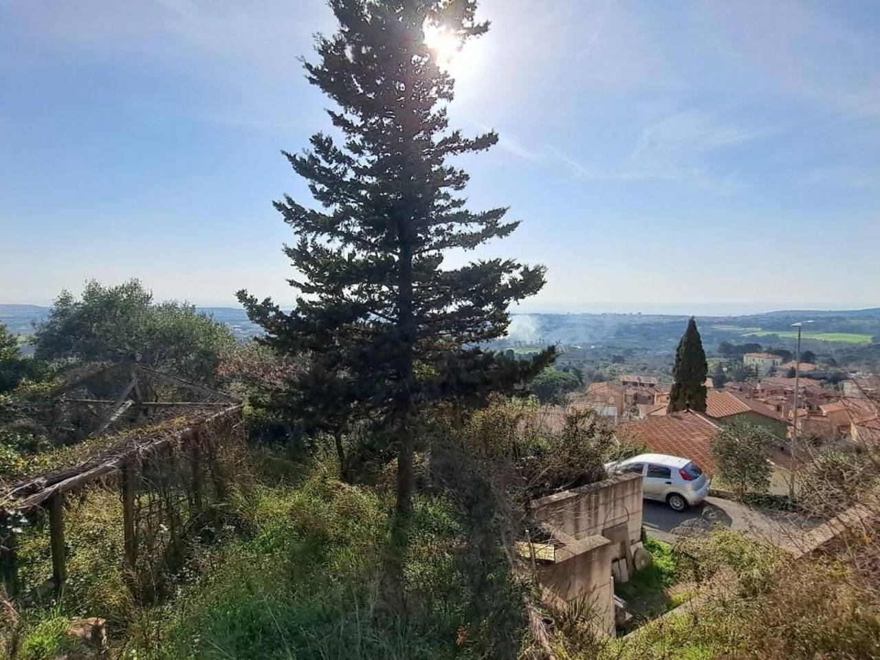 immagine annuncio 3 di 14