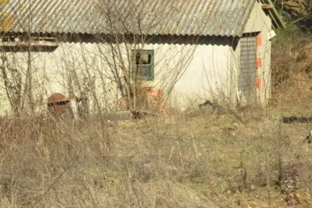 insertion image