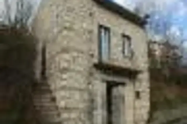 insertion image