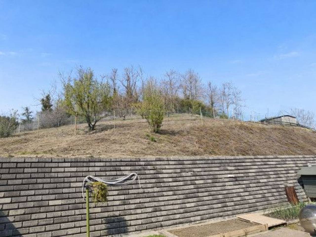 immagine annuncio 1 di 6