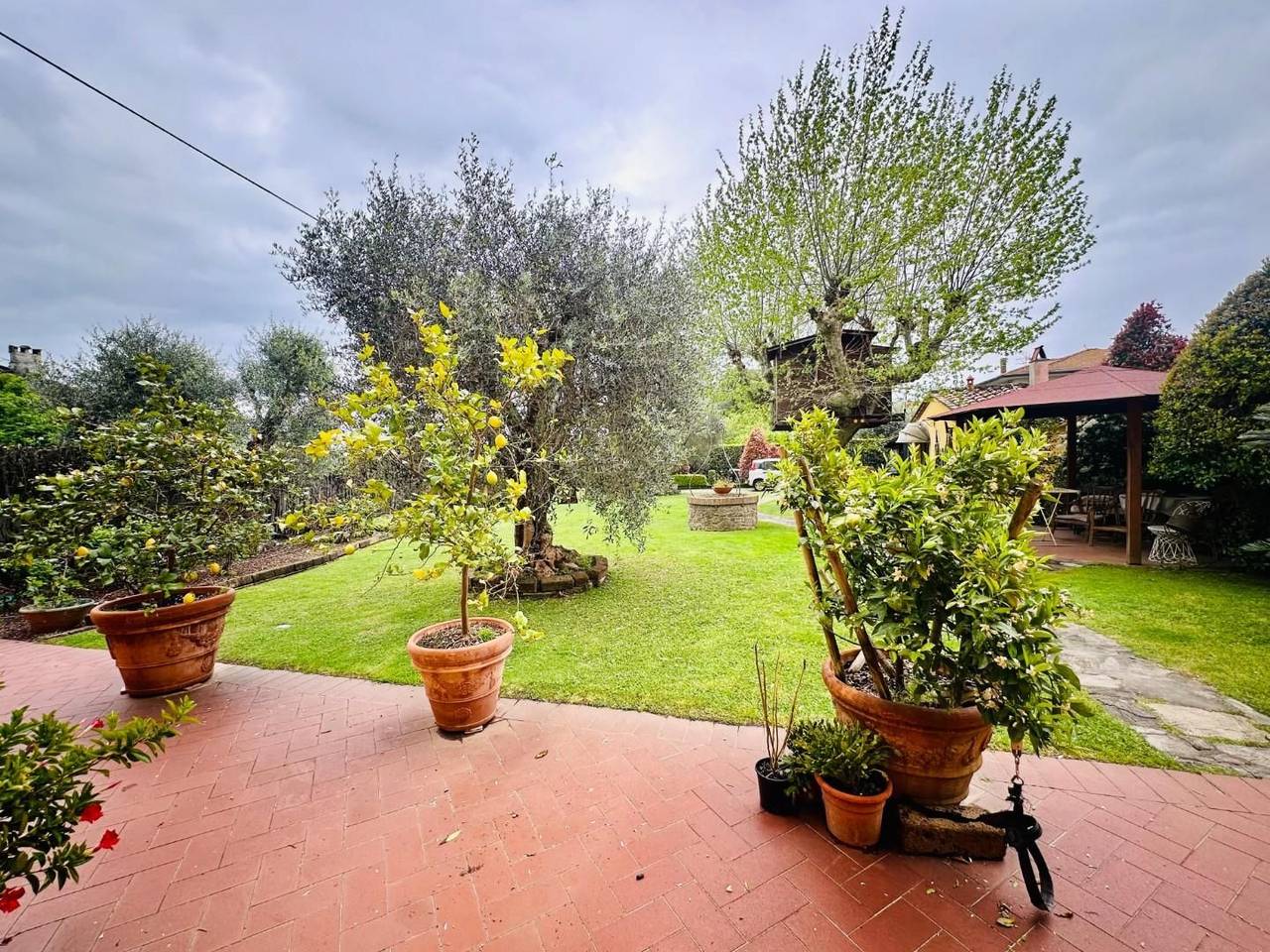 immagine annuncio 10 di 15