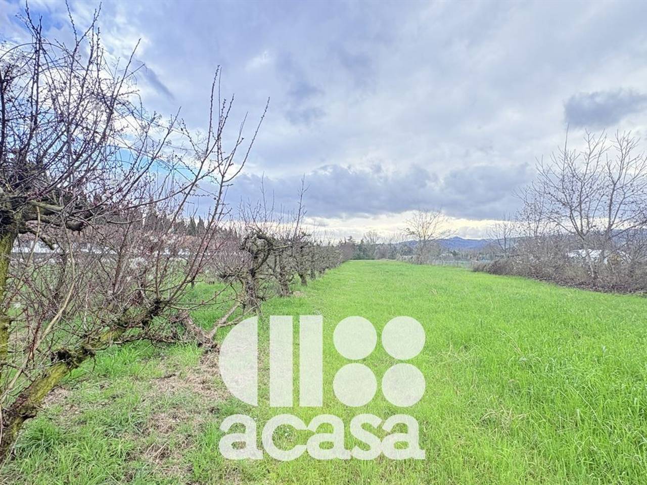 immagine annuncio 8 di 13