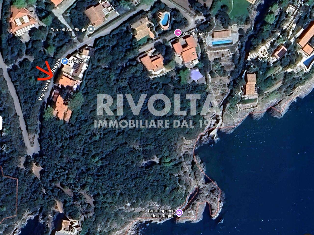 immagine annuncio 11 di 13