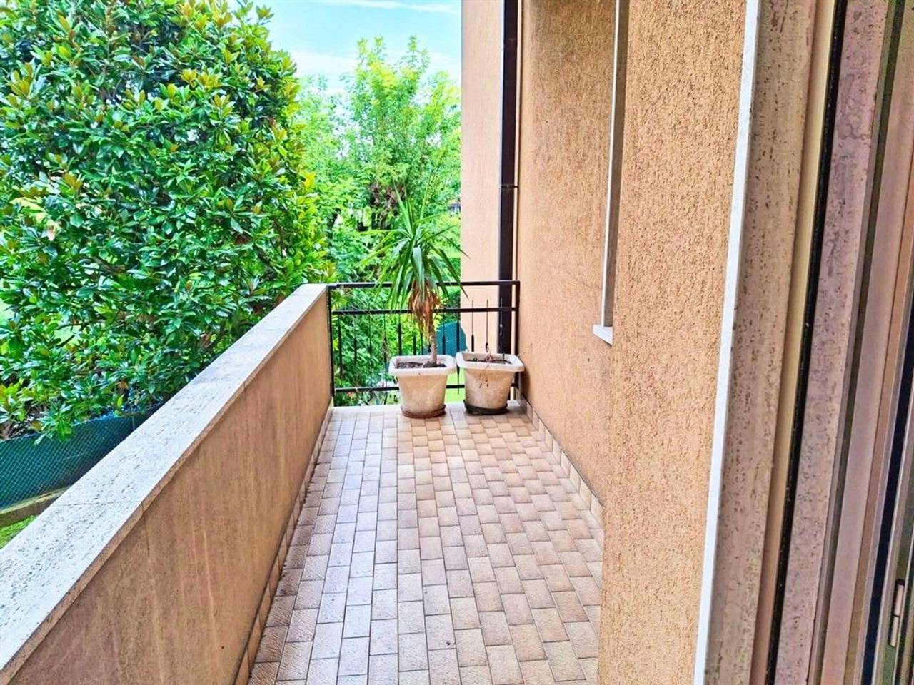 immagine annuncio 6 di 14