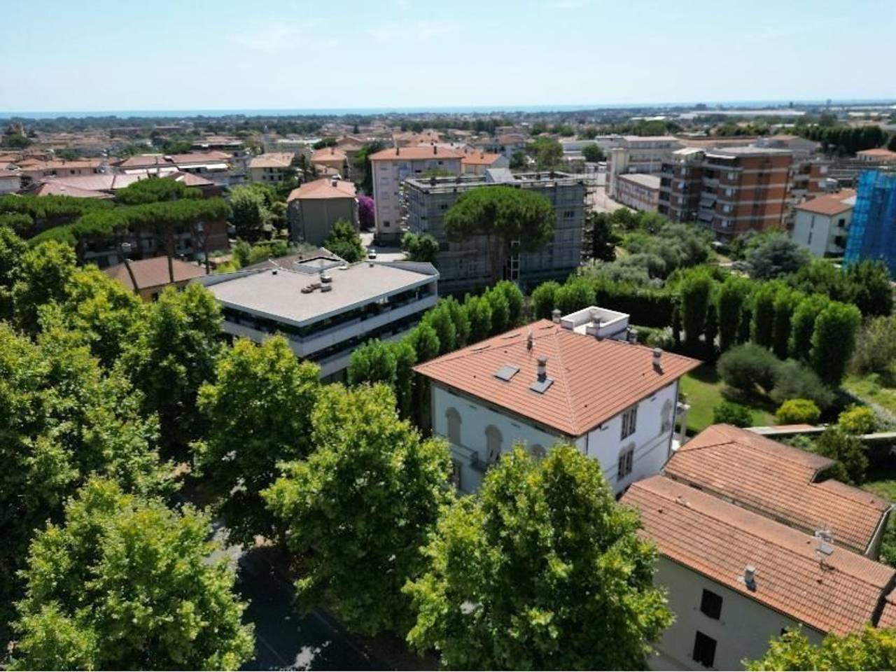 immagine annuncio 5 di 14